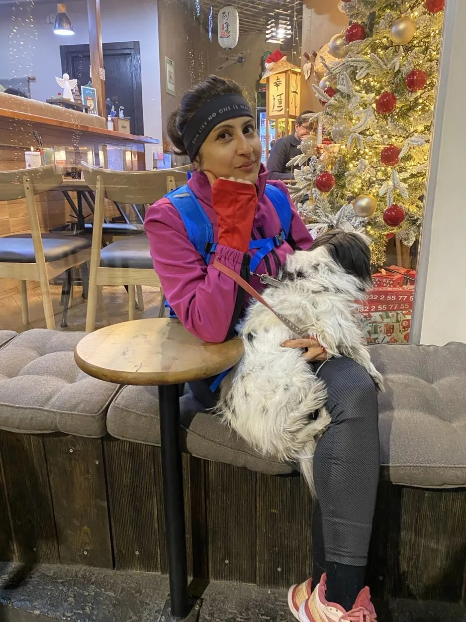 Dog in our pet care gallery